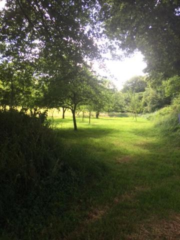 Merveilleux Cottage Dans Parc De 7,5 Hectares Saint-Nicolas-du-Pélem 外观 照片