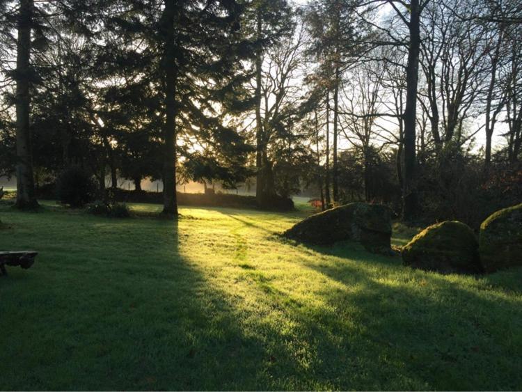 Merveilleux Cottage Dans Parc De 7,5 Hectares Saint-Nicolas-du-Pélem 外观 照片
